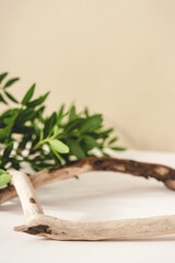 Natural background for cosmetic products created from wood and green leaves.