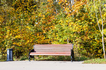 Canvas Print - wooden bench illuminated by sun and trash can under colorful trees along path in city park on sunny 
