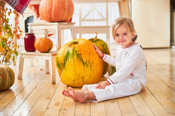 Wall Mural - A little blonde girl sits on a wooden floor in a white kitchen next to a large orange autumn pumpkin