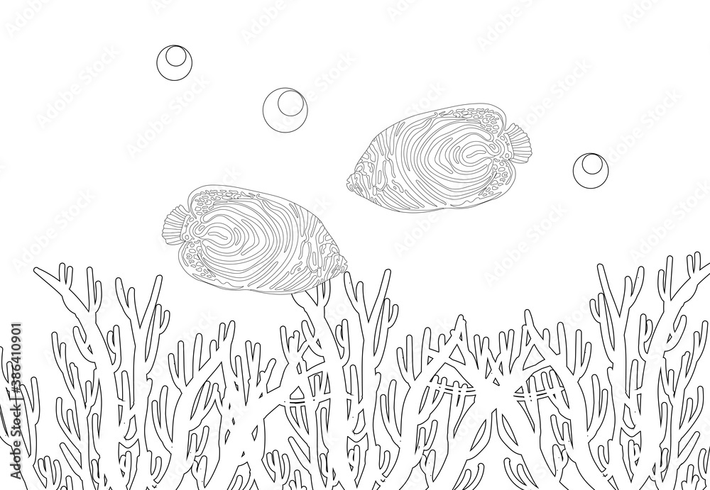 Fish exotic coloring. Antistress coloring page. Sea creatures. Ocean fish. illustration