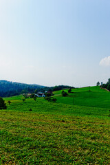 Wall Mural - panoramic view of a meadow and forest in the near hartberg in the austrian region steiermark