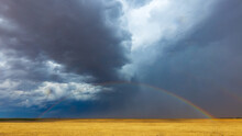 A Colorful Rainbow Appears In A Field In Colorado After A Severe Storm Passed Through