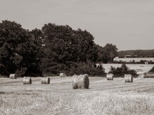 Black And White Photo Of Round Hay Bales In Rural France