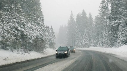 Wall Mural - Driving on road with falling snow, view of snowy icy mountain road with pine trees. Danger travel conditions in winter, car traffic in winter, 4k