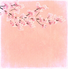 Canvas Print - Grunge background texture of old paper and sakura flowers