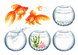 Goldfish and glass bowl set. Watercolor hand drawn illustration isolated on white background