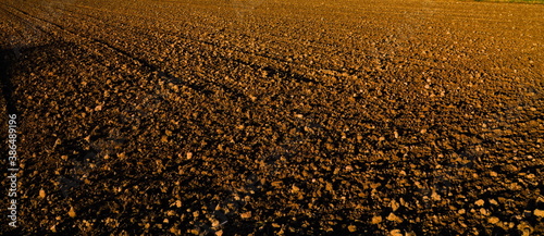 Cuadros en Lienzo plowed field after harvest, ploughed field