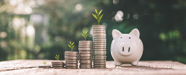 business finance and saving money investment , Money coin stack growing graph with piggy bank saving concept. plant growing up on coin. Balance savings and investment.