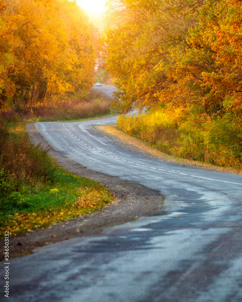 Beautiful view of the autumn road through the forest with sunlight. - obrazy, fototapety, plakaty 