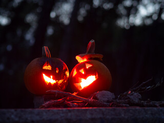 calabazas de halloween en un bosque con rocas y palos de madera