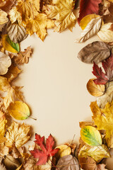 Creative mockup made of autumn leaves. Fall concept. Autumn background.Flat lay, top view, copy space, layout