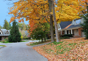 Wall Mural - Residential street with maple trees in fall colors