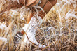 close up of young woman legs wearing cowgirl boots on the field