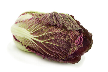 Wall Mural - Violet chinese cabbage on white