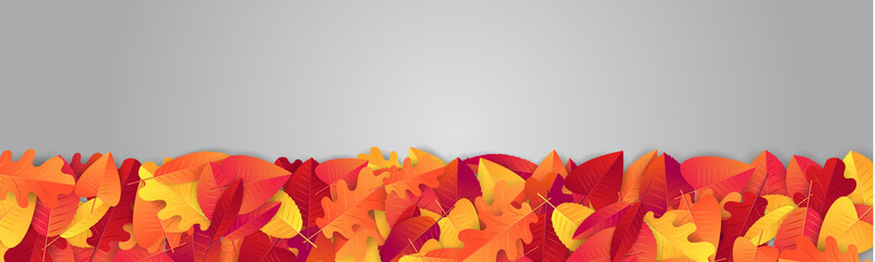 Wall Mural - Fall or autumn banner or website header with red and orange leaves. Fall promo design. Vector illustration.
