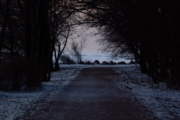 Dark park trail in winter on evening with pastel snowy landscape far away in frame of branches.