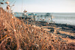 © tunach17 - Paysage marin de charente maritime pour week end ,saint palais sur mer