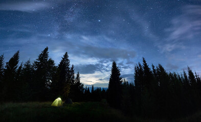 Wall Mural - Panoramic view of night starry sky with illuminated tourist tent in forest with coniferous trees under magical blue sky with stars. Concept of travelling, hiking and night camping.