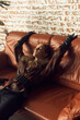 © monchak - portrait photo of a girl with brown curly tails in a vintage checkered jacket, she is sitting on the edge of a leather sofa, her arms raised and her eyes closed