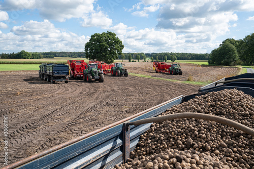 Tela Kartoffelernte -  Moderne Kartoffelroder auf dem Kartoffelfeld im Ernteeinsatz