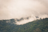 Fototapeta Na ścianę - Foggy in tropical forest on hill