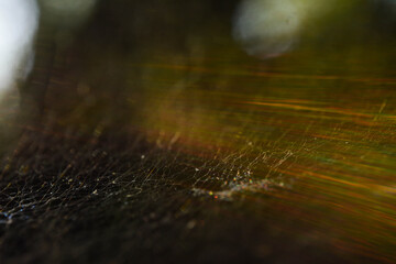sun light