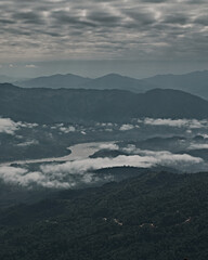 Wall Mural - Top View at Doi Pha Tang in Chiangrai Province