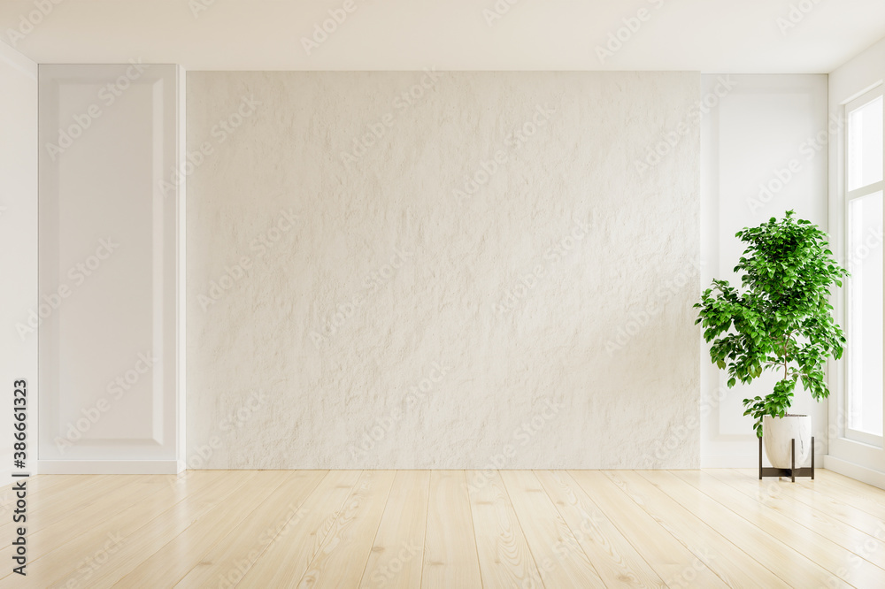 White plaster wall empty room with plants on a floor. - obrazy, fototapety, plakaty 