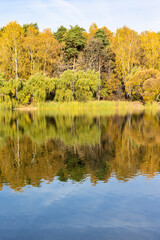 Canvas Print - colorful trees on shore of pond in city park on sunny autumn day