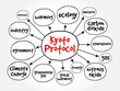 Kyoto protocol mind map, concept for presentations and reports