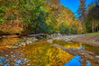 © Patrick Jennings - Colorful Fall leaves along War Creek next to Turkey Foot Campground in the Daniel Boone National Forest near McKee, KY.