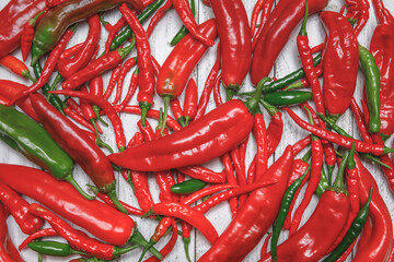 Wall Mural - Pile of red and green hot, spicy freshly harvested organic chili peppers, including Anaheim, Dragon Cayenne, Serrano, Big Thai varieties