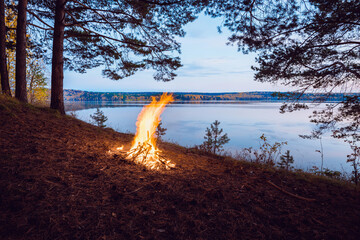 Wall Mural - the flame of a burning fire on the riverbank in autumn.