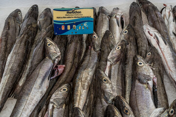 Hossegor, France 27.06.2020 Closeup of different fishes on the market on the ice. Healthy fresh nutrition. Sea ocean. Healthy food. 