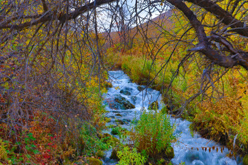 Wall Mural - Mountain stream