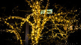 Fototapeta Kosmos - golden christmas lights