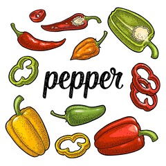 Wall Mural - Whole, half , slice different types of pepper. Sweet bell, chilli, habanero and jalapeno. Engraving