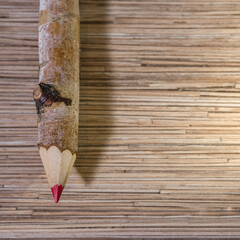 A red pencil made from a birch branch.