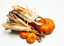 Still Life Of Mini Pumpkins, Indian Corn And Sparkler Pumpkin Isolated On White Background.