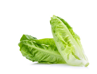 Wall Mural - fresh baby cos,lettuce isolated on white background