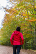 © JuanFrancisco - young woman walking among beech trees in autumn