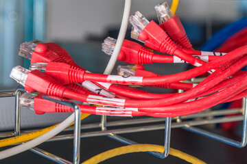 red ethernet cables connected to switch