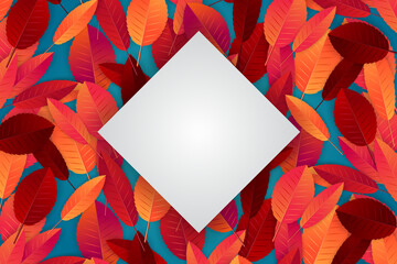 Wall Mural - Fall or autumn design template with red and orange leaves of the background and a square for text. Vector illustration.