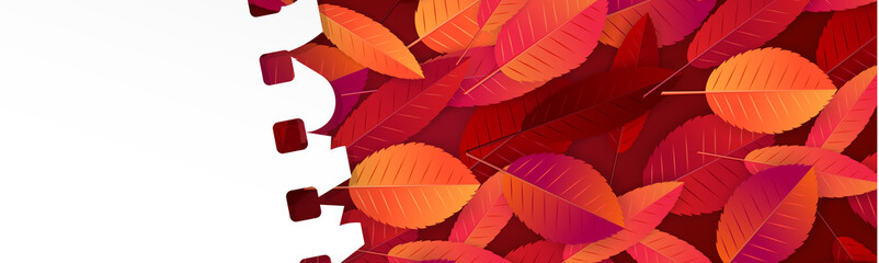 Wall Mural - Autumn banner or website header with fall red and orange leaves under a torn out sheet of note pad paper with free space for text. Vector illustration.