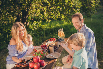 Photo of dream positive cheerful four people daddy mommy dad mom little kids sit table eat summer fresh eco lunch fruits apples berries salad talk speak outside