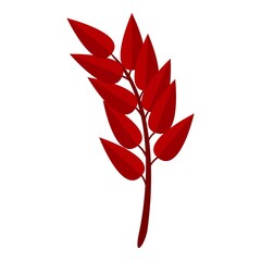 Poster - White ash autumn leaf icon. Cartoon of white ash autumn leaf vector icon for web design isolated on white background