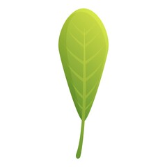 Poster - Green tree leaf icon. Cartoon of green tree leaf vector icon for web design isolated on white background