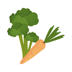 Poster - carrot and broccoli fresh vegetables nature icons