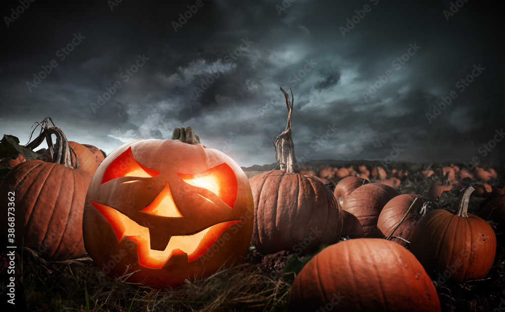 A carved glowing halloween pumpkin in a field at night. Photo composite. - obrazy, fototapety, plakaty 