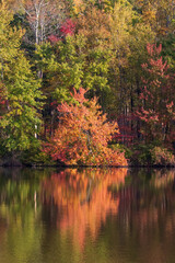 Wall Mural - autumn in the park